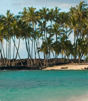 staff at Jeff Healy MD